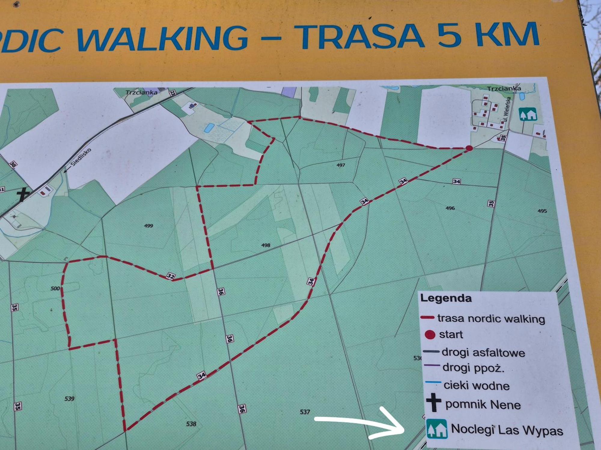 Noclegi "Las Wypas" Trzcianka Trzcianka (Czarnkow–Trzcianka) Extérieur photo